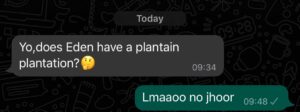best plantains from Eden?