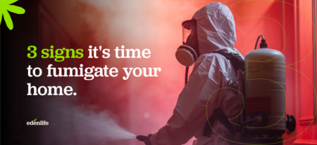3 signs its time to fumigate your home